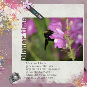 Text Of Photo  Day 12