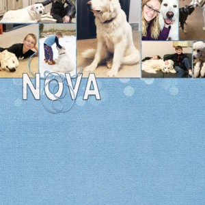 14-Clean-Simple-Texture_NovaCollage