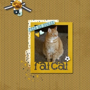 Fat Cat