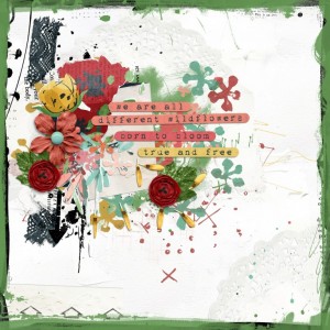 Wild Flowers