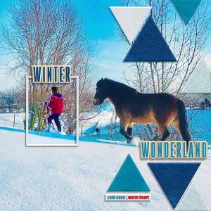 Winter Wonderland