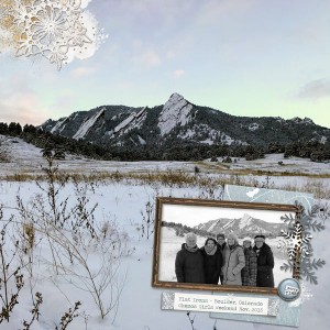 Flat Irons