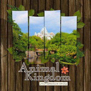 Animal Kingdom 2017 Cover