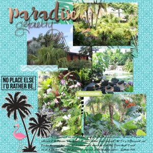 Day 30- Paradise Getaway