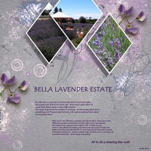 Bella Lavender