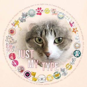 Just-My-Type