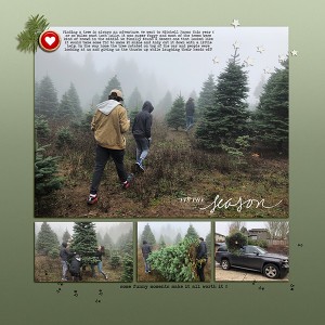Tree Hunt and cut