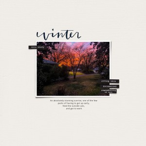 Winter Sunrise