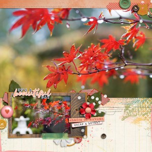 Shades Of Autumn