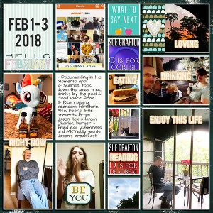 Feb. 1-3, 2018 PL