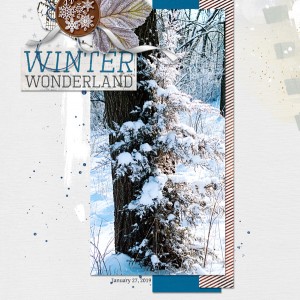 2019-02_February-TLP_Speed-Scrap_0206_web