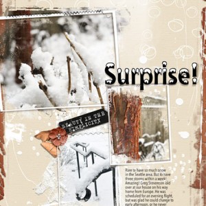 02-19_SurpriseSnow
