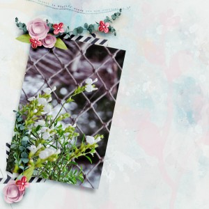LovelyDay
