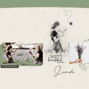 Lavender