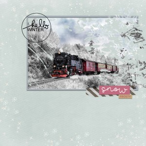 Snow train