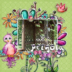 CDMuckosky-pergola