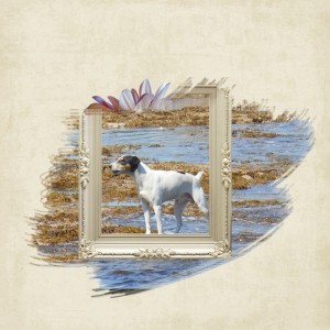 Dog-beach-painted-mask