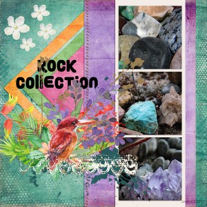 MIS March 2_rockcollection