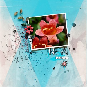 NewLife