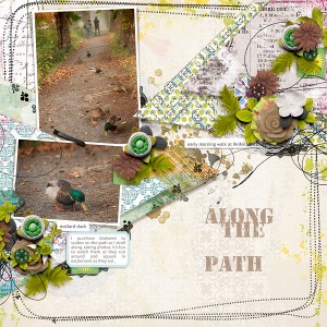 Along The Path