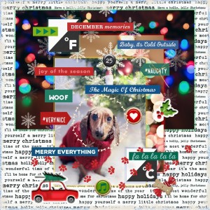 LOVE Our Designers-March 5th-Daily Crush:Sahlin Studio-How Much Is That Doggy In The Window