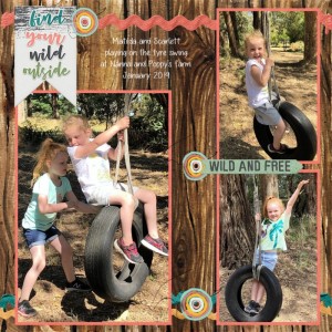 Tyre Swing on the Farm