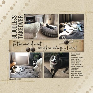 03-19_PetPillowTakeover