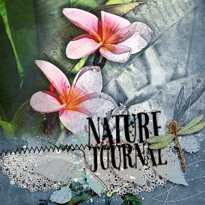 NATURE JOURNAL