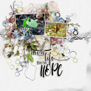 New Life New Hope