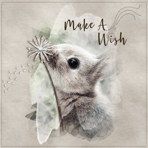 Make a Wish