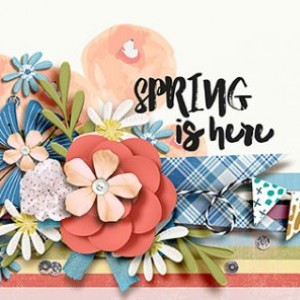 FBcover_3-29