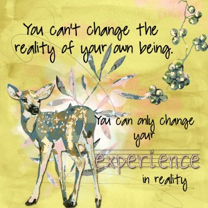 Experience