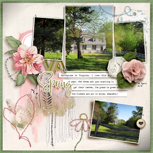 VA Spring