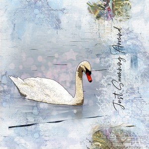 Swanning Around