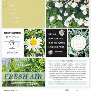 Spring Gardening