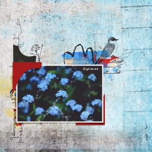 Forget me not
