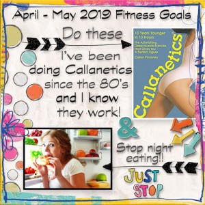 April May Fit Pad Goals