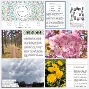 Pocket page week 18