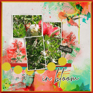 Fdd_inbloom