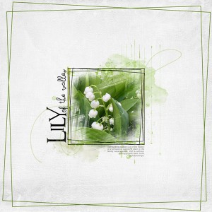 05-13-19_StackedFrames_LilyOfTheValley