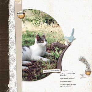 7 years