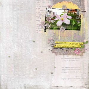 spring