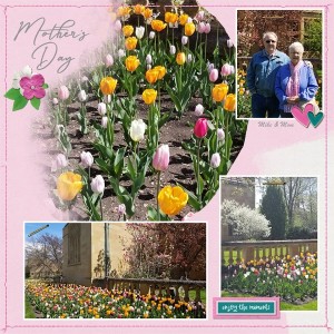 Mother's Day 2019