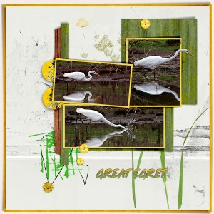 Great Egret