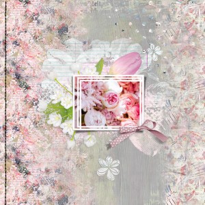Lily-pad-nbk-may