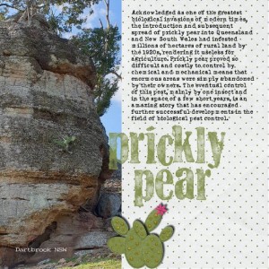 Prickly-pear