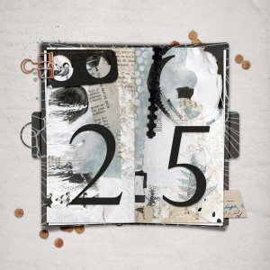 jour : 25