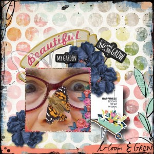 Painted Lady Butterfly Happiness