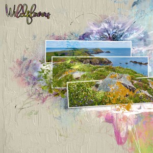 Coastal Walk