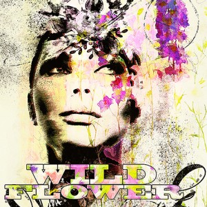 Wildflower